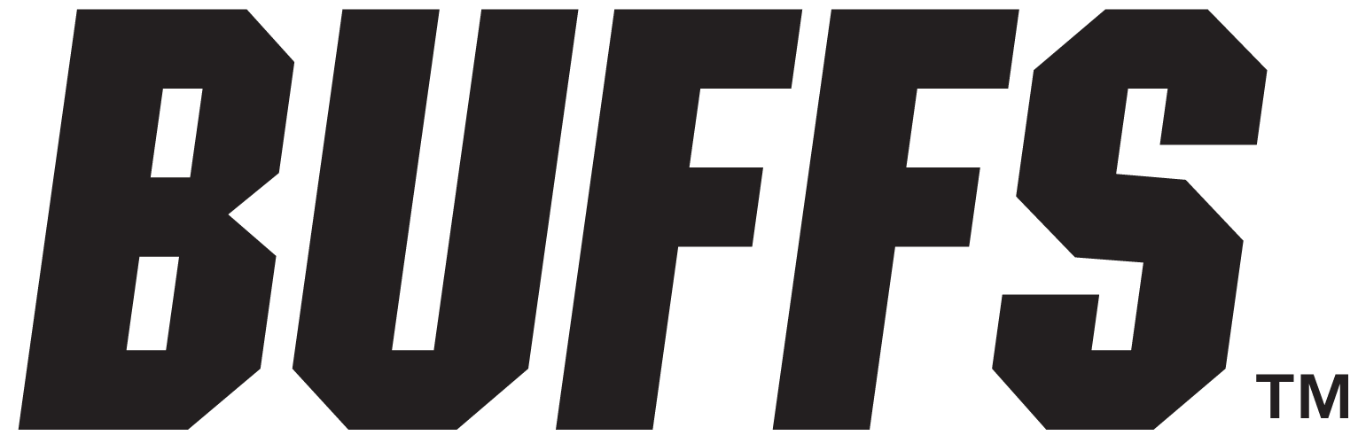 Colorado Buffaloes 2006-Pres Wordmark Logo iron on transfers for fabric